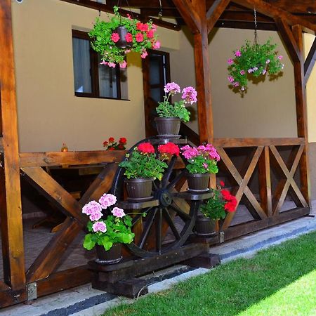 Вілла Casa Pricas Моєчу-де-Жос Екстер'єр фото