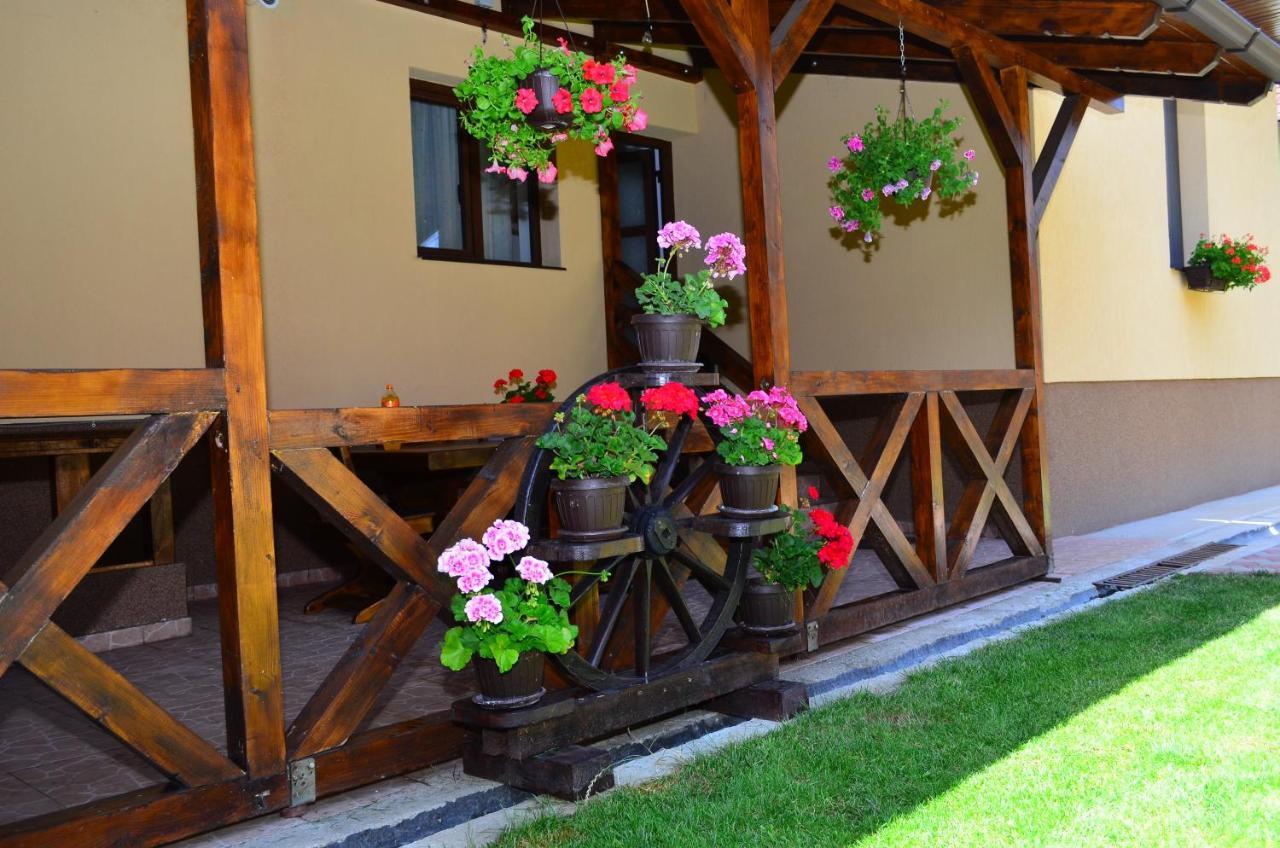 Вілла Casa Pricas Моєчу-де-Жос Екстер'єр фото