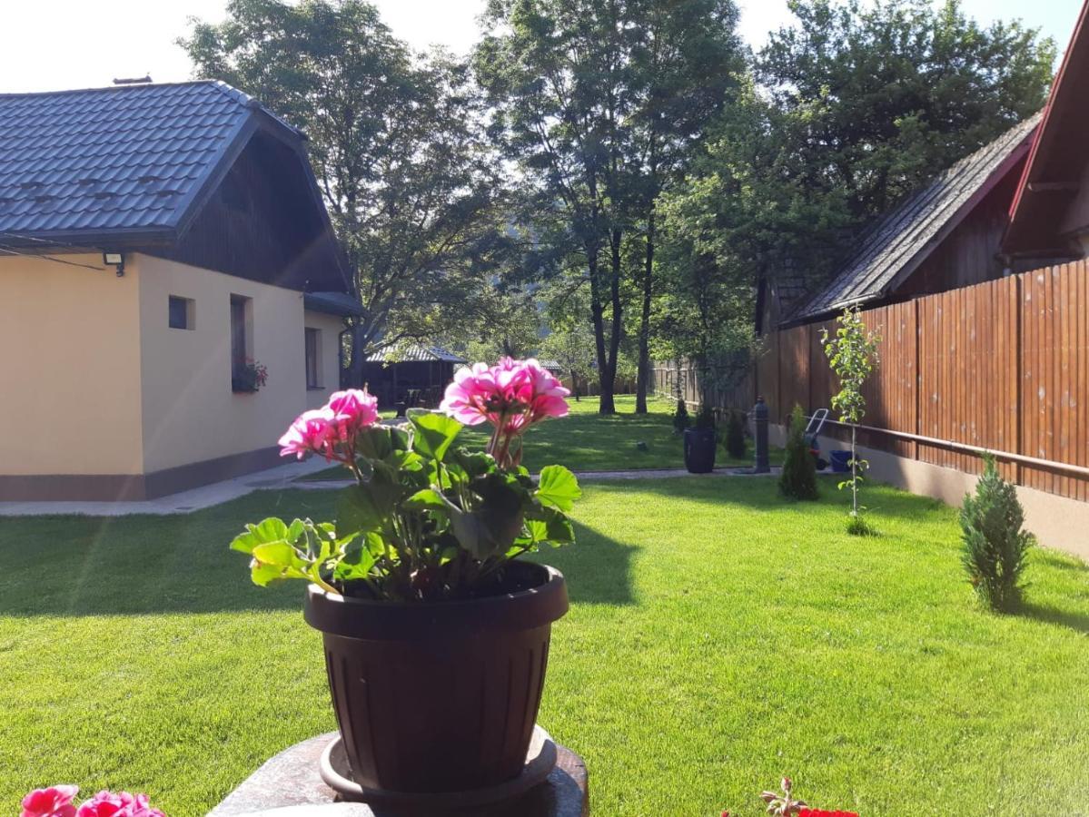 Вілла Casa Pricas Моєчу-де-Жос Екстер'єр фото
